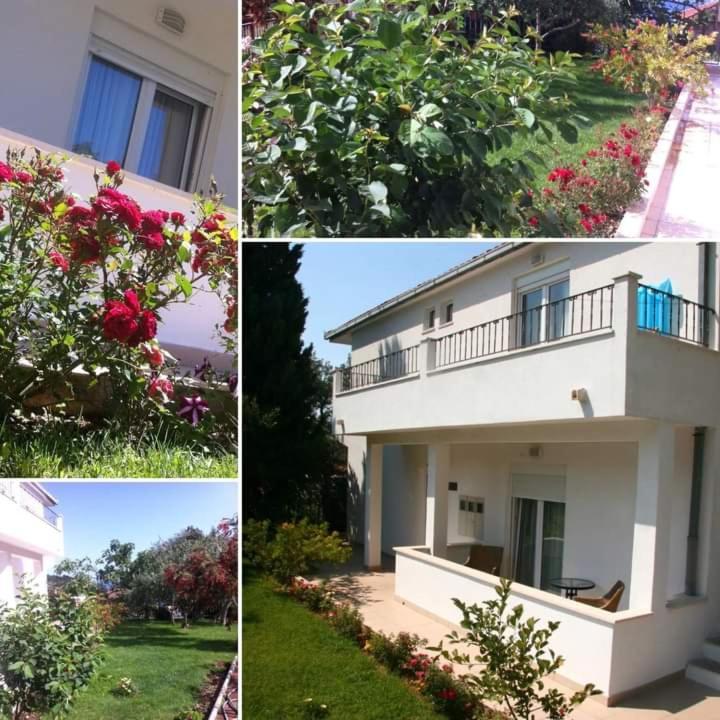 درفينيك Villa Markic المظهر الخارجي الصورة