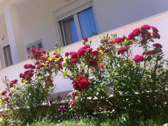 درفينيك Villa Markic المظهر الخارجي الصورة